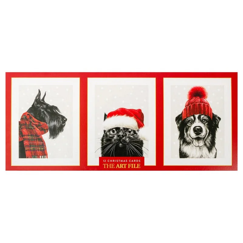 Cosy Animals Trio Christmas Card Box